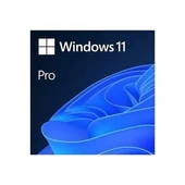 Microsoft Ms Windows 11 Pro FQC-10556 64BIT Tr (Oem) - 1