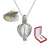 İstiridye İçi Gerçek İnci Kolye Kadife Kolye Kutulu - 3