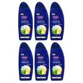 Duru Aloe Vera&mentol&kolajen Kepeğe Karşı Etkili Şampuan 6 x 500 Ml - 1