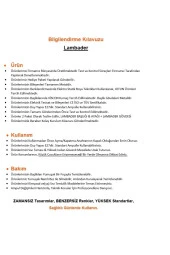 Minimal Basic Gold Koni Lambader - 4