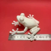 3D Hareketli Kurbağa Figürlü Oyuncak - Beyaz thumbnail 7