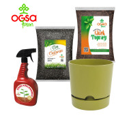 Ogsa Farm Çiçek Toprağı, Çimlendirici, Saksı Seti. Köklendirici Sprey Hediyeli - 2