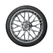 Taurus High Performance 195/55R16 91V XL (2024) - 2