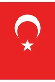VATAN/70*105 POLYES.TÜRK BAYRAĞI - 1