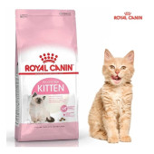 Royal Canin Kitten 36 Yavru Kedi Maması 10 KG (ORİJINAL KAPALI PAKET) SKT:04.2026 - 2