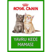 Royal Canin Kitten 36 Yavru Kedi Maması 10 KG (ORİJINAL KAPALI PAKET) SKT:04.2026 - 3