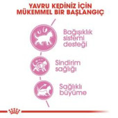 Royal Canin Kitten 36 Yavru Kedi Maması 10 KG (ORİJINAL KAPALI PAKET) SKT:04.2026 - 6