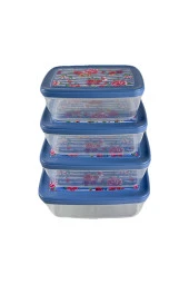 Gıda Saklama Kabı Erzak Saklama Kabı Meyve Sebze Et Balıkları Taze Ve Kuru Tutmak Için 4'lü Set - 2