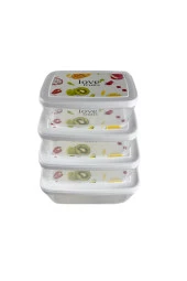 Gıda Saklama Kabı Erzak Saklama Kabı Meyve Sebze Et Balıkları Taze Ve Kuru Tutmak Için 4'lü Set - 2