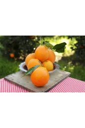 Köyceğiz Portakalı 5 Kg - 2