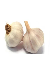 TAŞKÖPRÜ SARIMSAĞI 1 KG İRİ BOY - 1