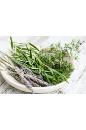 Taze Biberiye(rosemarıne)-25 Gr - 2