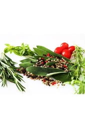 Taze Biberiye(rozmarin)-(2 Paket) - 2