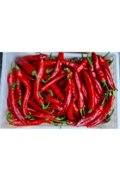 %100 Doğal Hatay Samandağ Biberi Paketli 1 Kg - 2