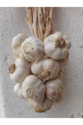 Sarımsak 1 Kg Iri Boy ( Kastamonu Taşköprü Sarımsağı) - 2