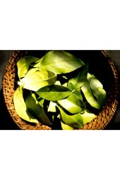 Taze Dalından Organik Limon Yaprağı 75 gram - 2