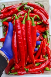 %100 Doğal Hatay Samandağ Biberi Paketli 1 Kg - 1