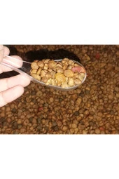 Sokak Hayvanları Için 3 Kg Kedi Maması thumbnail 3