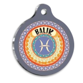 Balık Burcu Kedi köpek Künyesi Medium 2,6 x 3,8 cm - 1