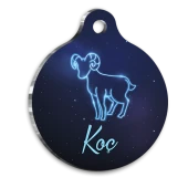Koç Burcu Kedi Köpek Künyesi Small 2 x 3,5 cm - 1