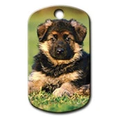 Yavru Alman Kurdu Resimli Köpek Künyesi Large - 1