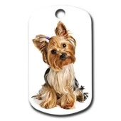 York Shire Köpek Künyesi Small - 1