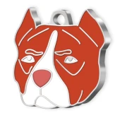 Pitbull Köpek Künyesi - 1
