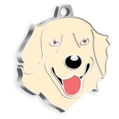 Krem Golden Retriever Köpek Künyesi - 1