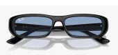 Ray-Ban RB4436D 667772 55 Kadın Güneş Gözlüğü thumbnail 4
