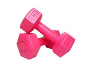 Proforce Proforce Plastik Dambıl Seti 1 KG x 2 adet - 1