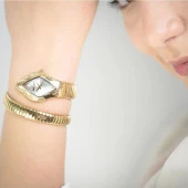 JUST CAVALLI JC1L306M0035 Kadın Kol Saati thumbnail 4