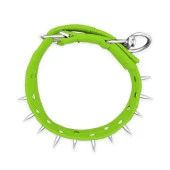 Dokuma Çivili Köpek Boyun Tasması - 5*80 cm - Yeşil thumbnail 3