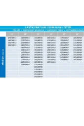 NiCe Shop Premium Lüks Araç Kar Çorabı225/60r16 Lastik Uyumlu-l - 4
