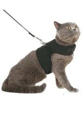 NiCe Shop Kaçış Önleyici Nefes Alabilen Yüzey Kedi Gezdirme Göğüs Tasma Seti Siyah - 1