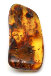 Kehribar Doğal Taş Parça - 2