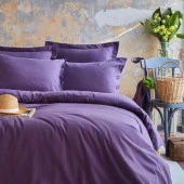Apricitas Home Esential Tek Kişilik Nevresim Takımı Mürdüm - 1