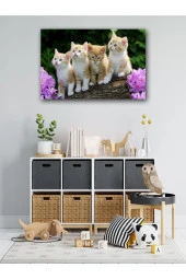 YALOVA SHOP Dekoratif Sevimli Yavru Kedi Tablosu thumbnail 5