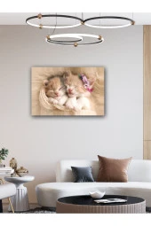 YALOVA SHOP Dekoratif Sevimli Yavru Kedi Tablosu - 1