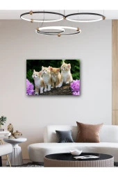 YALOVA SHOP Dekoratif Sevimli Yavru Kedi Tablosu thumbnail 2