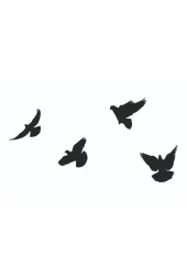 GİZEM SHOP Dekoratif Ahşap Dörtlü Kuş Duvar Süsü Duvar Dekoru Siyah thumbnail 4