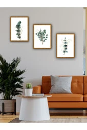 YALOVA SHOP Dekoratif Okaliptüs Dalları 3 lü Tablo Seti (Ahşap ceviz görünümlü çerçeve baskılı) 30 x 40 cm - 1