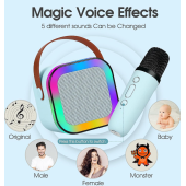 QASUL Çocuklar ve Yetişkinler İçin Karaoke Makinesi, Kablosuz Mikrofon ve Dinamik Işıklı Karaoke Hoparlör - 2