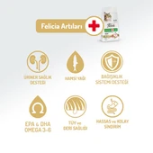 Felicia Hypoallergenic Tavuklu Düşük Tahıllı Yetişkin Kedi Maması 12 Kg - 2