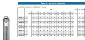 Impo Sk 409/14 3HP Krom Başlıklı  20 MT Yassı Kablolu ve Panolu 40 mt Halatlı Çift Vanalı Akıtma Başlıklı Monofaze Takım Dalgıç Pompa - 2