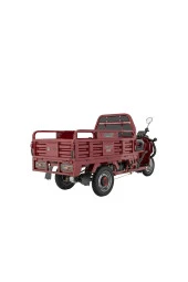 E-mon Mondial E-mon Tigray 3 teker elektrikli kasalı yük taşıma motorsikleti - 2