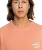 Quıksılver TRADESMITH SS Erkek T-shirt EQYZT07659-QK.MJR0 thumbnail 4