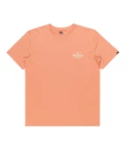 Quıksılver TRADESMITH SS Erkek T-shirt EQYZT07659-QK.MJR0 thumbnail 7