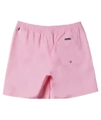 Quıksılver EVERYDAY SOLID VOLLEY 15 Erkek Şort AQYJV03153-QK.MEQ0 thumbnail 1