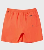 Quıksılver EVERYDAY SOLID VOLLEY 15 Erkek Şort AQYJV03153-QK.MKZ0 thumbnail 2