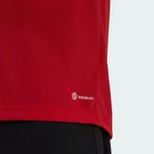 Adidas HN5920 Ent22 Polytee Erkek Tişört thumbnail 6